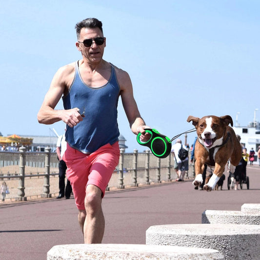 Retractable Dog Leash With Lock – Extendable Pet Long Lead for Training & Walking