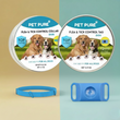 Ultimate Pet Safety Bundle – Dog Tag & Dog Collar