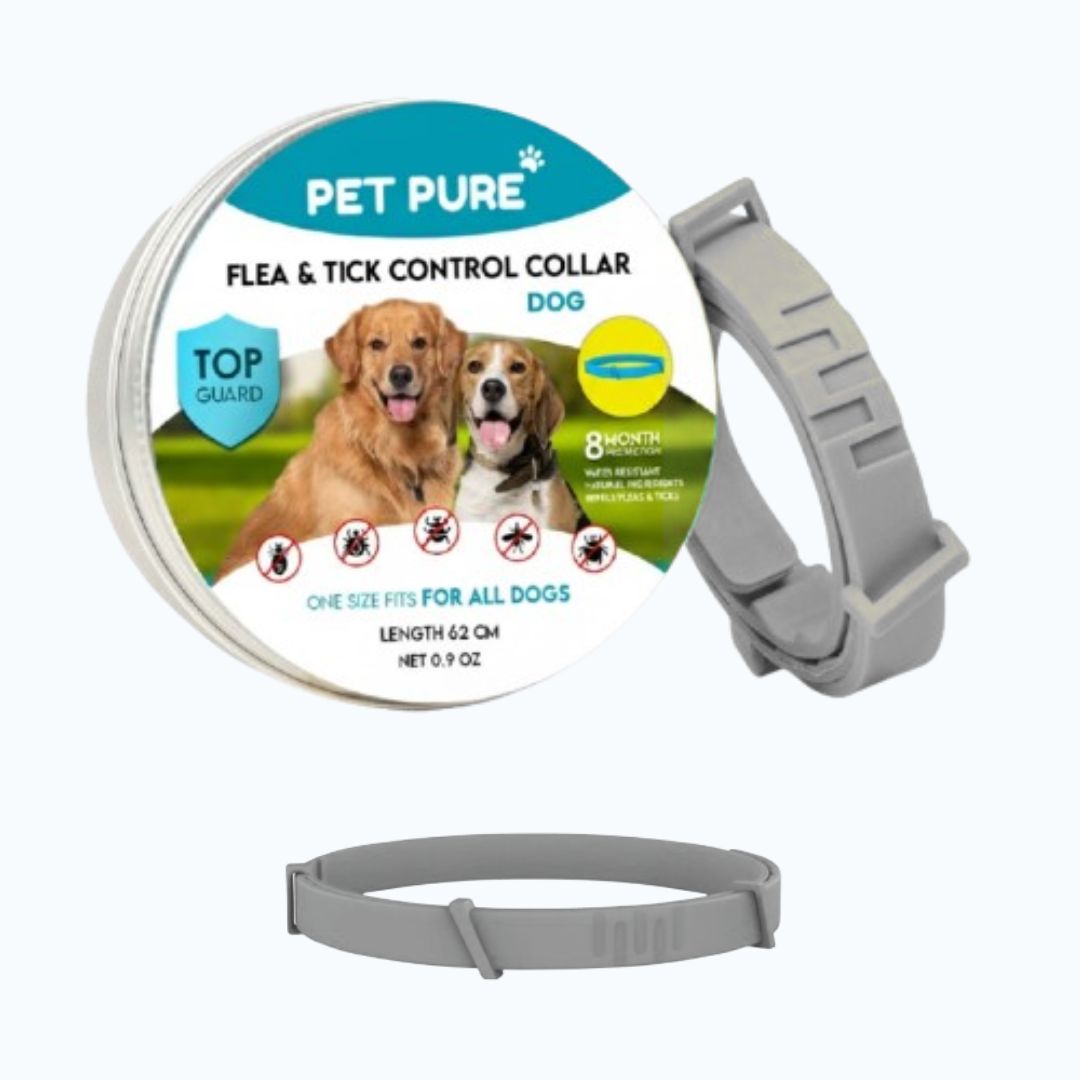 PetPure™ – 8-Month All-Natural Flea & Tick Collar for Dogs