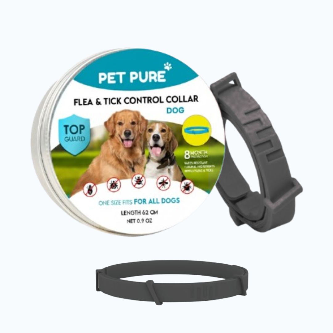 PetPure™ – 8-Month All-Natural Flea & Tick Collar for Dogs