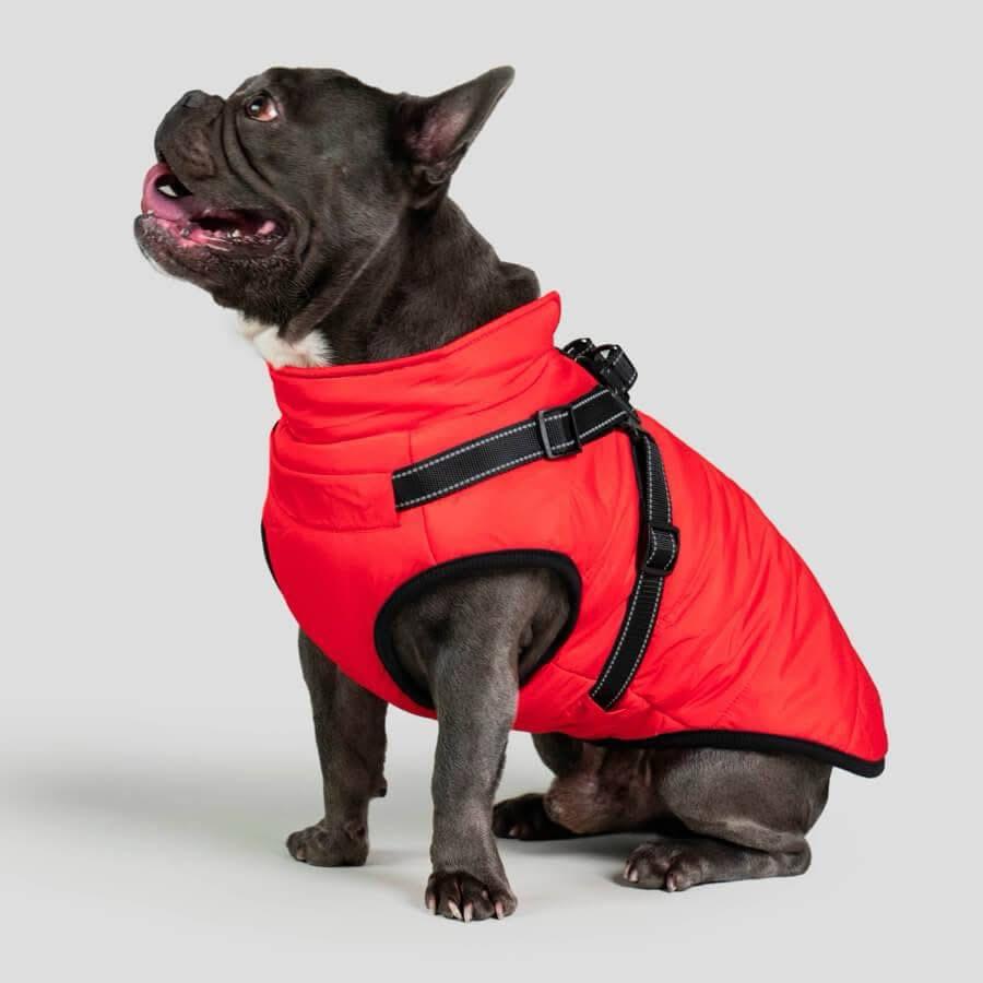 PetPure Waterproof Winter Dog Coat with Built-In Harness