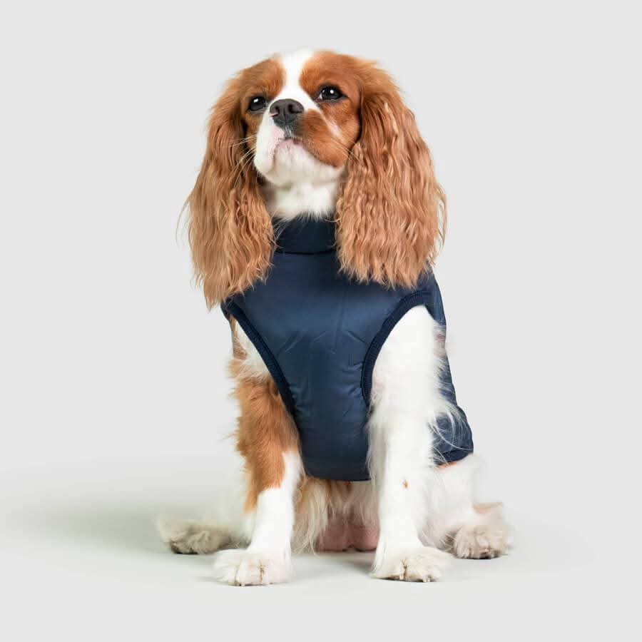 PetPure Waterproof Winter Dog Coat with Built-In Harness