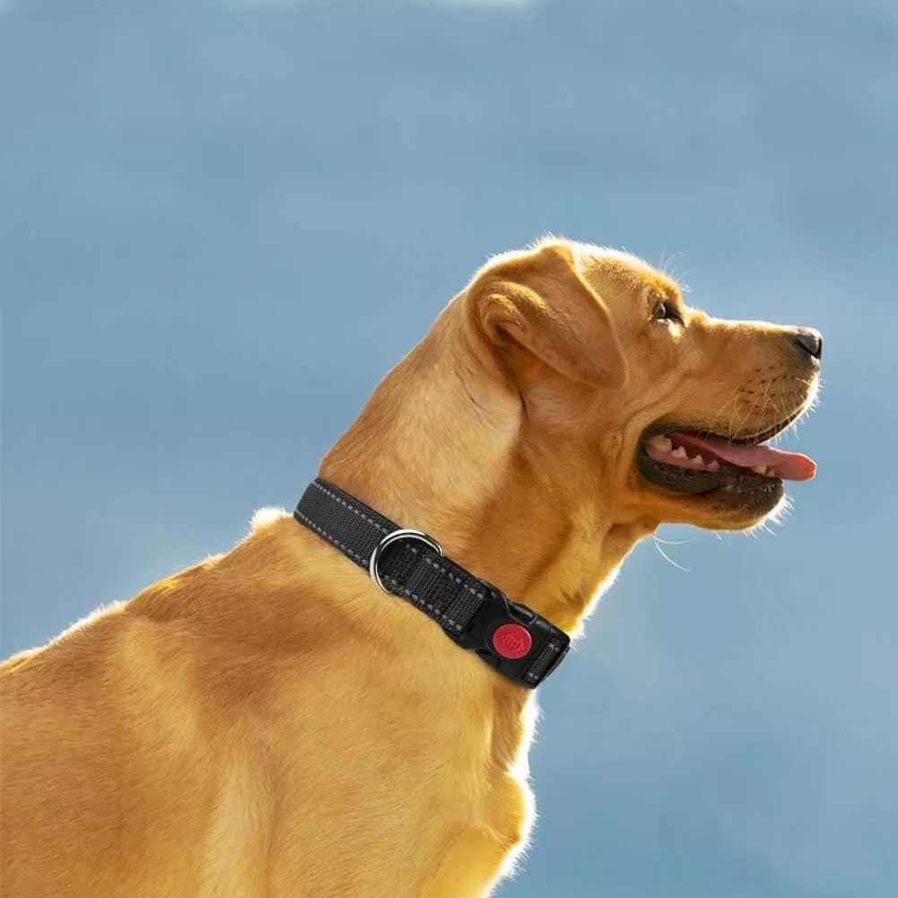 Reflective Dog Collar | Adjustable Soft Neoprene Padded Comfortable Safety Collar Pets