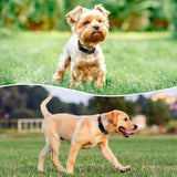 Reflective Dog Collar | Adjustable Soft Neoprene Padded Comfortable Safety Collar Pets