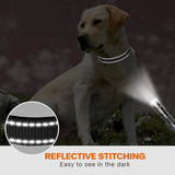 Reflective Dog Collar | Adjustable Soft Neoprene Padded Comfortable Safety Collar Pets
